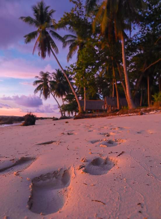 FB_IMG_1584261604335